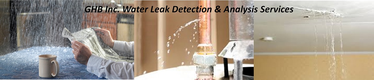 Water Leak Detection Services